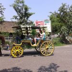 riding horse cart to discover Jogjakarta city