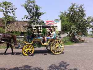 riding horse cart to discover Jogjakarta city